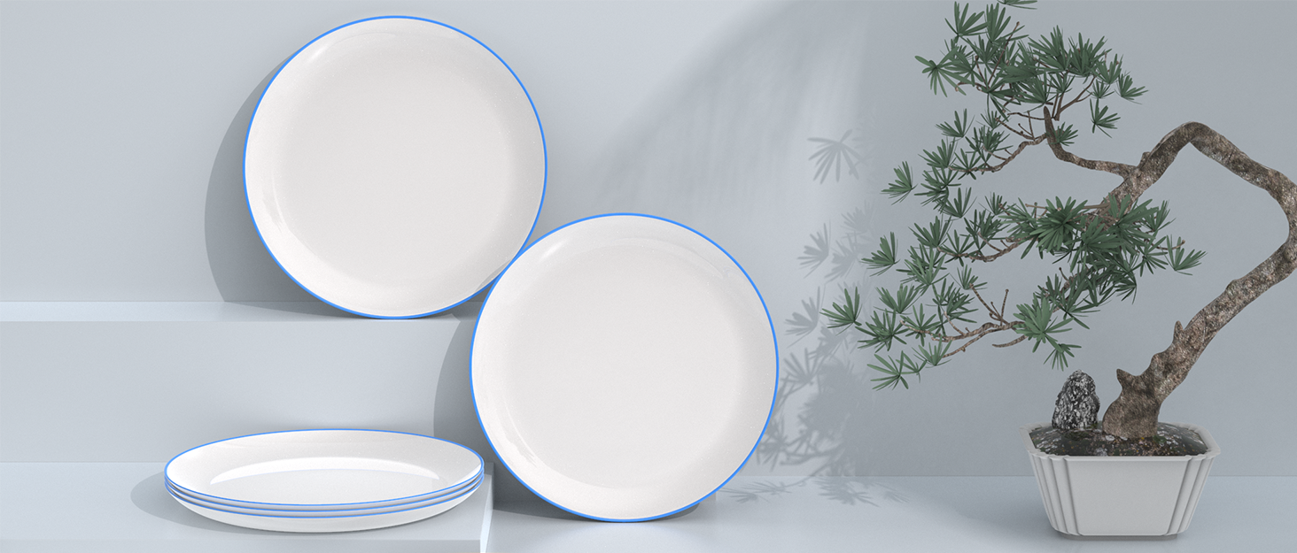 White Ceramic Dinner Plate With Blue Rim