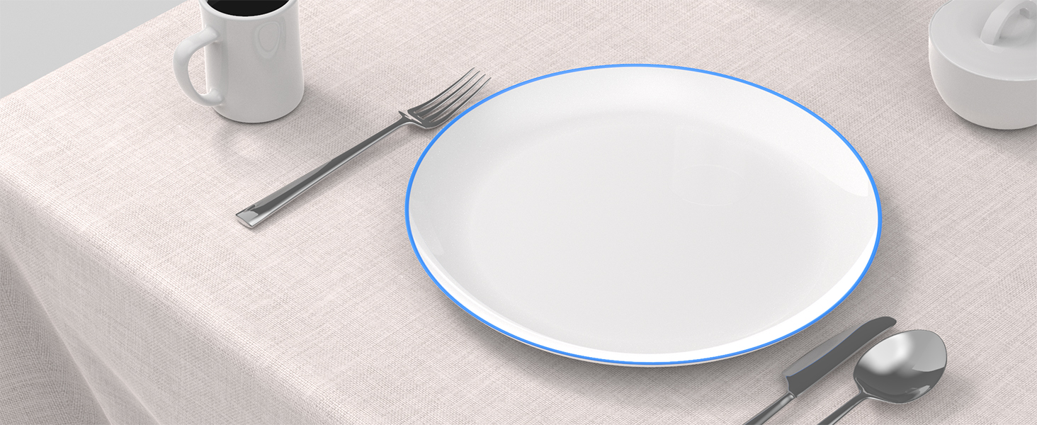 White Ceramic Dinner Plate With Blue Rim