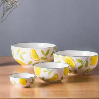 China Wholesale Supplier porcelain bowl