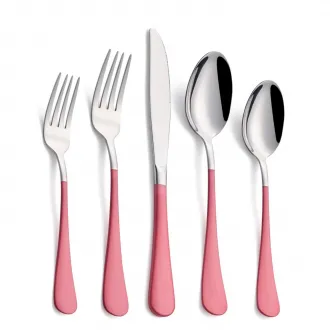 Stainless Steel Coffee Color Handle Flatware Set